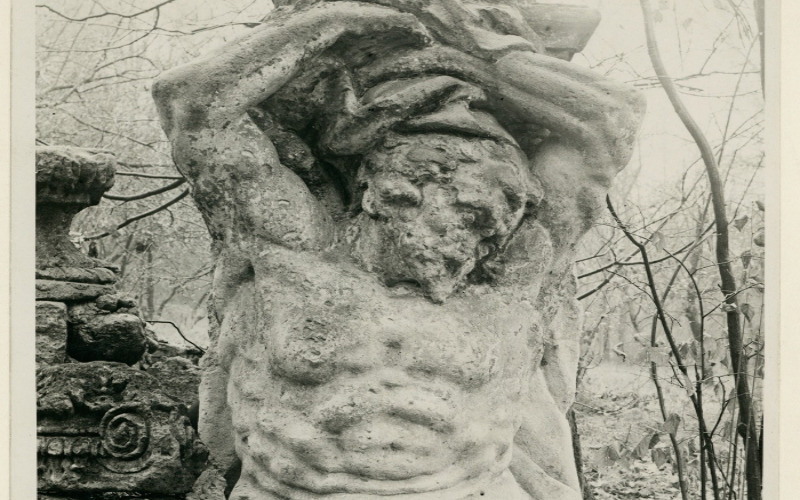030.446P