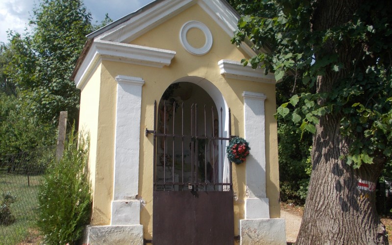DSCN3671