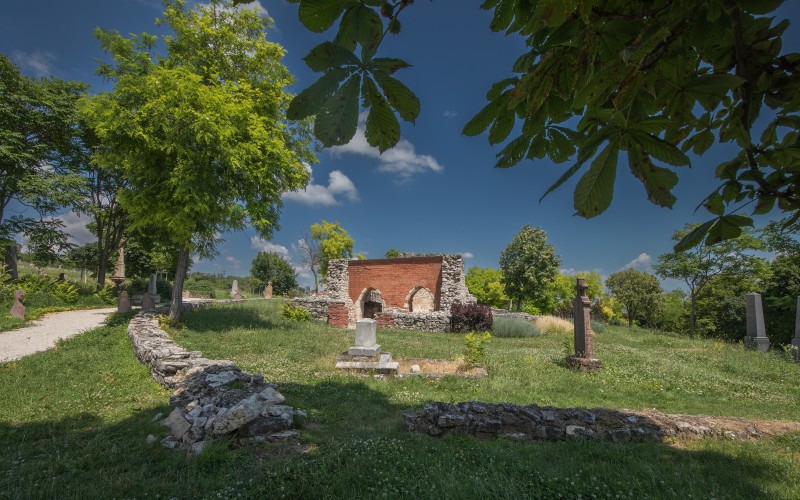 Balatonfüred, templomrom, Nyirkos Zsófia, 2023, MÉM MDK Fotótár ltsz. 248.595D