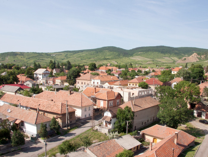 Topográfiai kutatások Tokaj-Hegyalján: Tállya képe